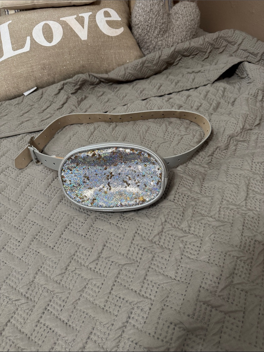 Steve Madden Silver Sequin Oval Belt Bag